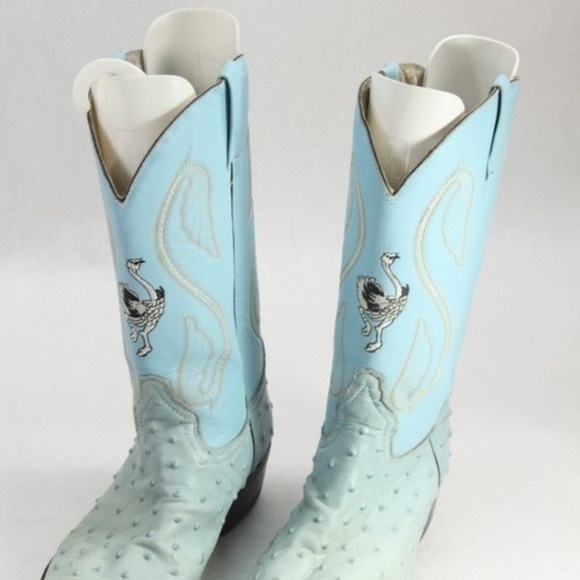 BEAUTIFULL BLUE OSTRICH - Picture 1 of 7